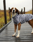 Chemise Anti-UV & Anti-Insectes pour Chien Zebra UPF 50+