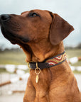 Collier pour Chien Kenya Wavy