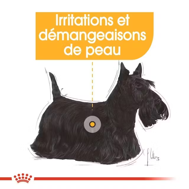 Croquettes Petits Chiens Mini Dermacomfort Royal Canin 1kg