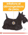 Croquettes Petits Chiens Mini Dermacomfort Royal Canin 1kg