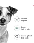 Croquettes Royal Canin Pour Petits Chiens Toutes Races 2kg