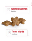 Croquettes Royal Canin Pour Petits Chiens Toutes Races 2kg