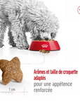 Croquettes Royal Canin Pour Petits Chiens Toutes Races 2kg