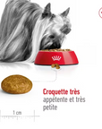 Croquettes Royal Canin Pour Très Petits Chiens Toutes Races 1,5 kg