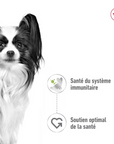 Bouchées en Sauce pour Petits Chiens Royal Canin 85g