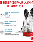 Croquette pour Chiot Royal Canin 1,5Kg XS