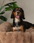 Lit pour Chien Super Doux 'Alpine' par Scruffs