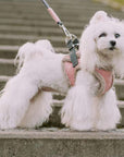 Harnais Chien YETI Creme par Bowl & Bone - Pom D'Azur