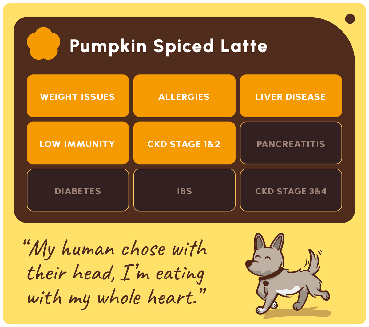 Bâtonnets dentaires pour chien saveur latte épicé à la citrouille: Paquet simple
