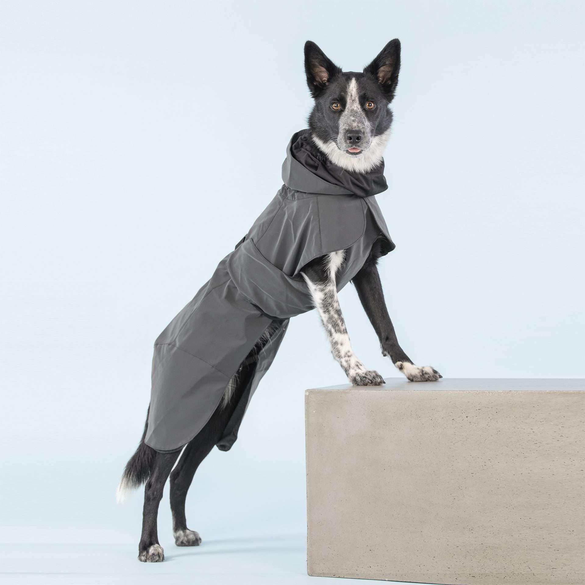 Parka Imperméable Chien Noir par PAIKKA - Pom D'Azur