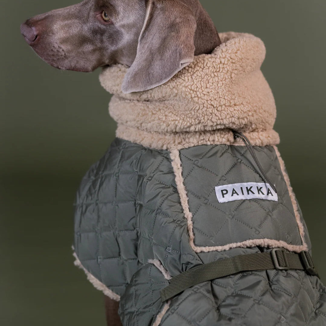 Manteau de Pluie pour Chien 'Sherpa Olive' par Paikka