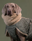 Manteau de Pluie pour Chien 'Sherpa Olive' par Paikka