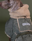 Manteau de Pluie pour Chien 'Sherpa Olive' par Paikka