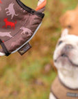 Disque Volant Jouet pour Chien P.L.A.Y - Pom D'Azur