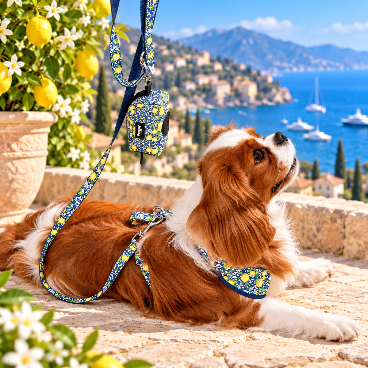 Distributeur Sacs a déjéction Amalfi Pawppy Paris