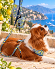 Distributeur Sacs a déjéction Amalfi Pawppy Paris