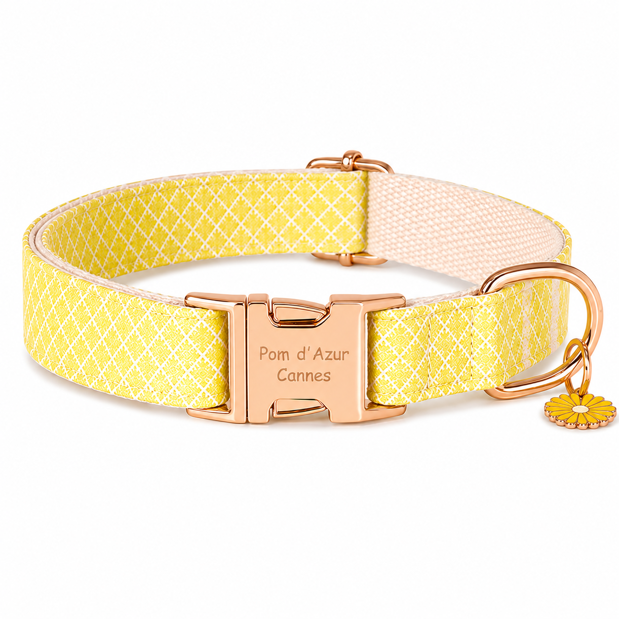 Collier pour Chien Daisy – Paillettes &amp; Boucle Gravée Pom d’Azur