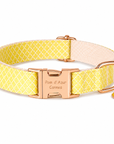 Collier pour Chien Daisy – Paillettes & Boucle Gravée Pom d’Azur
