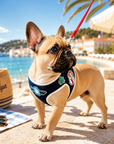Harnais pour chien 'Riviera Pop' Denim Édition Cannes Pom d'Azur
