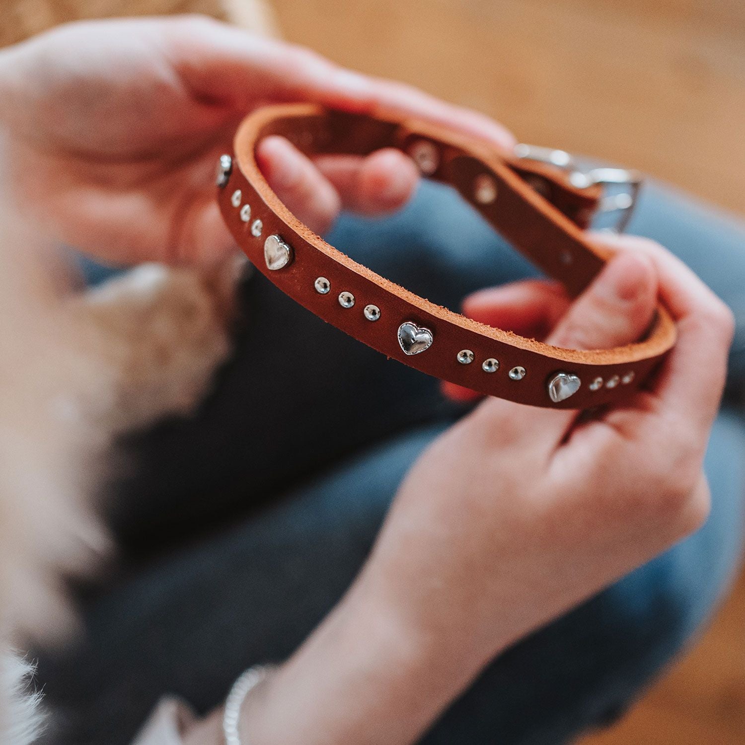 Collier Aalborg Coeur pour Petits Chiens par Hunter