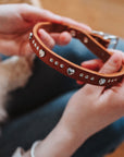 Collier Aalborg Coeur pour Petits Chiens par Hunter