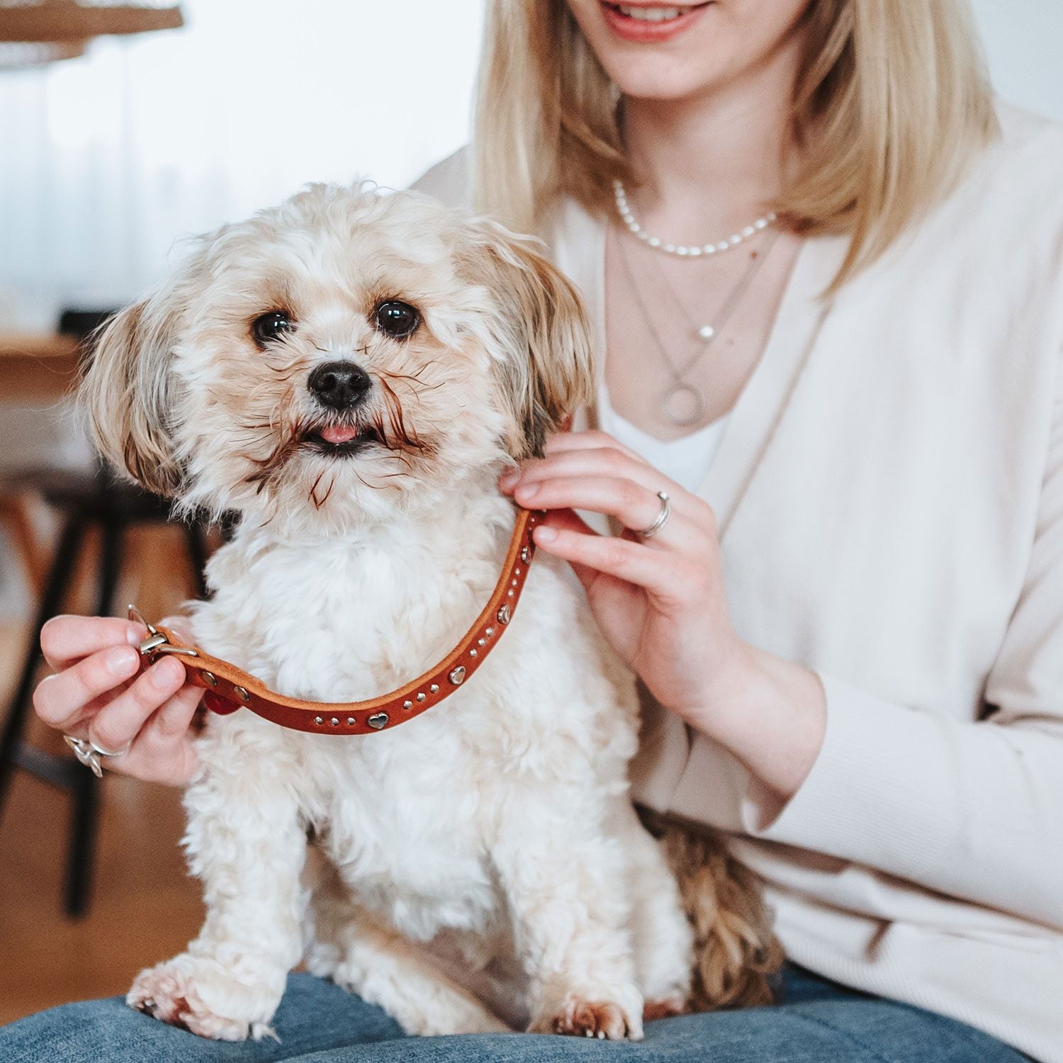 Collier Aalborg Coeur pour Petits Chiens par Hunter