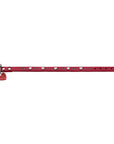 Collier Aalborg Coeur pour Petits Chiens par Hunter