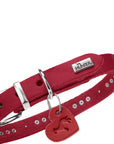 Collier Aalborg Coeur pour Petits Chiens par Hunter