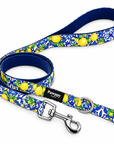 Laisse Amalfi Pawppy Paris