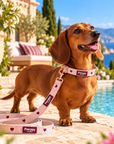 Laisse pour Chien 'Blush' Pawppy Paris