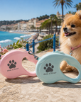 Laisse pour Chien Enrouleur Rétractable Pom d’Azur – 5 m