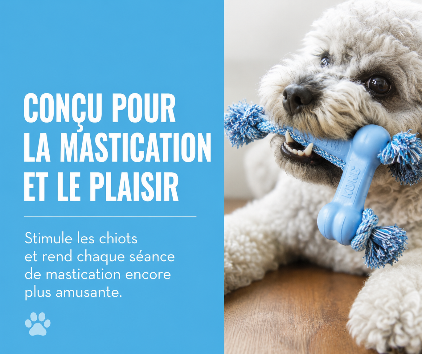 Jouet à Mâcher pour Chiot, Caoutchouc Naturel &amp; Corde Résistante KONG Goodie Bone Puppy avec Corde