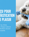 Jouet à Mâcher pour Chiot, Caoutchouc Naturel & Corde Résistante KONG Goodie Bone Puppy avec Corde