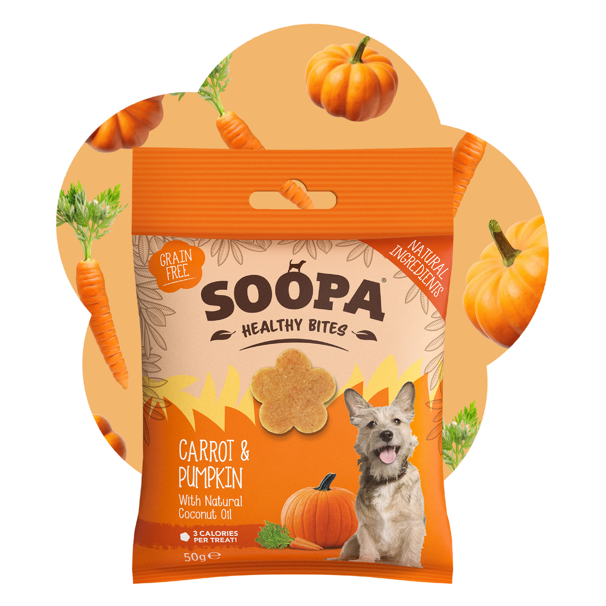 Friandises pour chiens à la carotte et à la citrouille Halloween