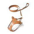 Load image into Gallery viewer, Amati Harness and Leash Beige
