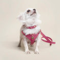 Load image into Gallery viewer, Ensemble Harnais Luxe pour Chien Rose par Amati
