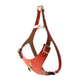 Load image into Gallery viewer, Ensemble Harnais Luxe pour Chien Rouge par Amati
