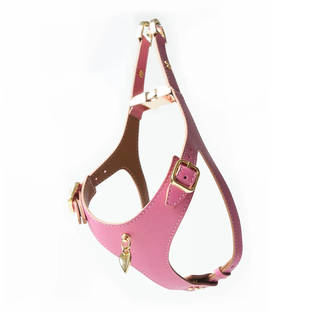 Ensemble Harnais Luxe pour Chien Rose par Amati