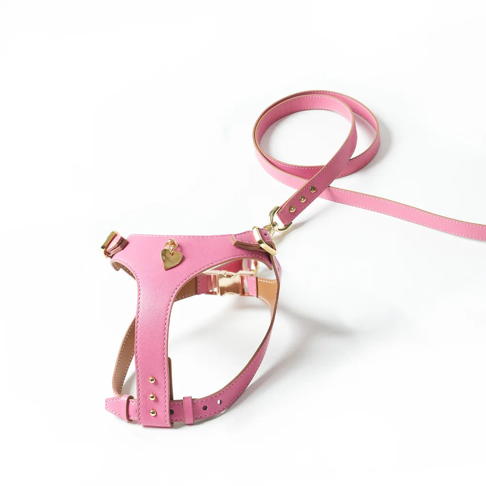 Ensemble Harnais Luxe pour Chien Rose par Amati