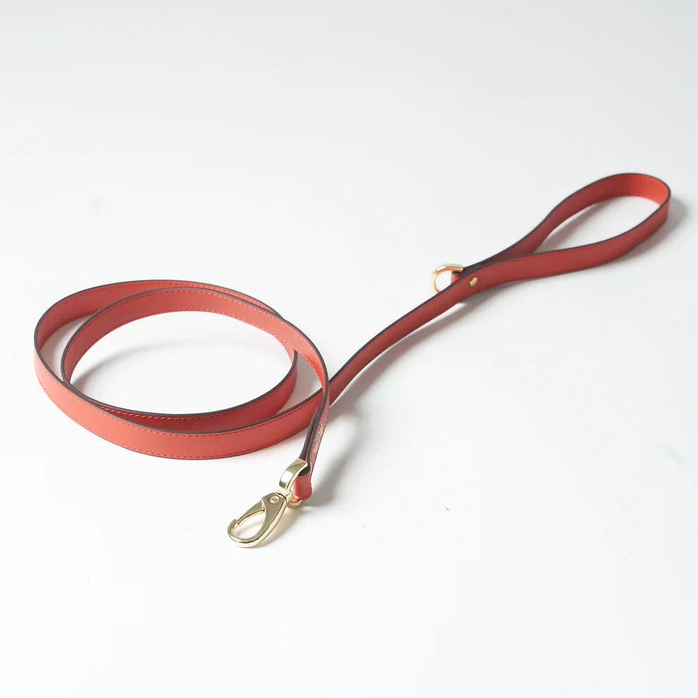 Ensemble Harnais Luxe pour Chien Rouge par Amati