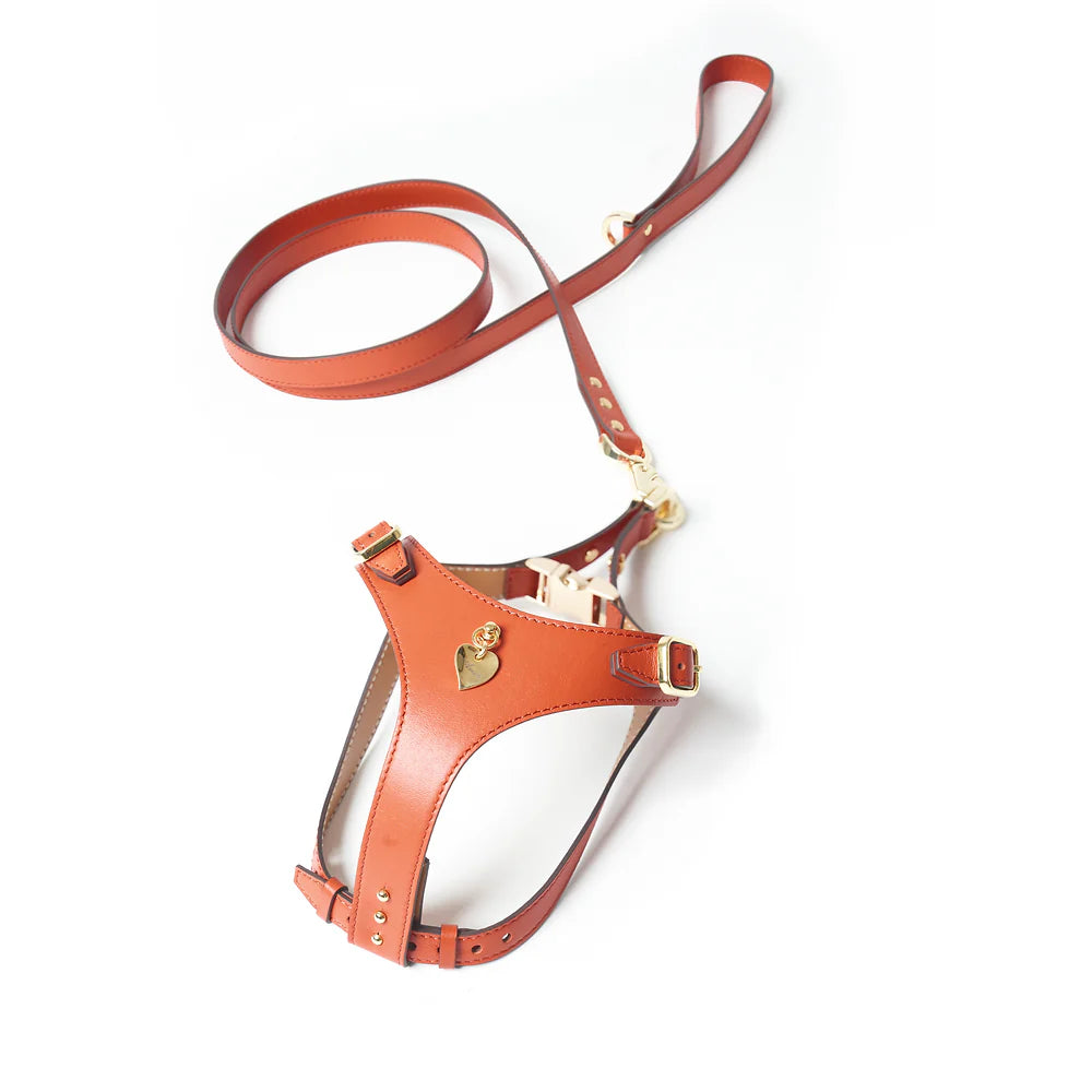 Ensemble Harnais Luxe pour Chien Rouge par Amati