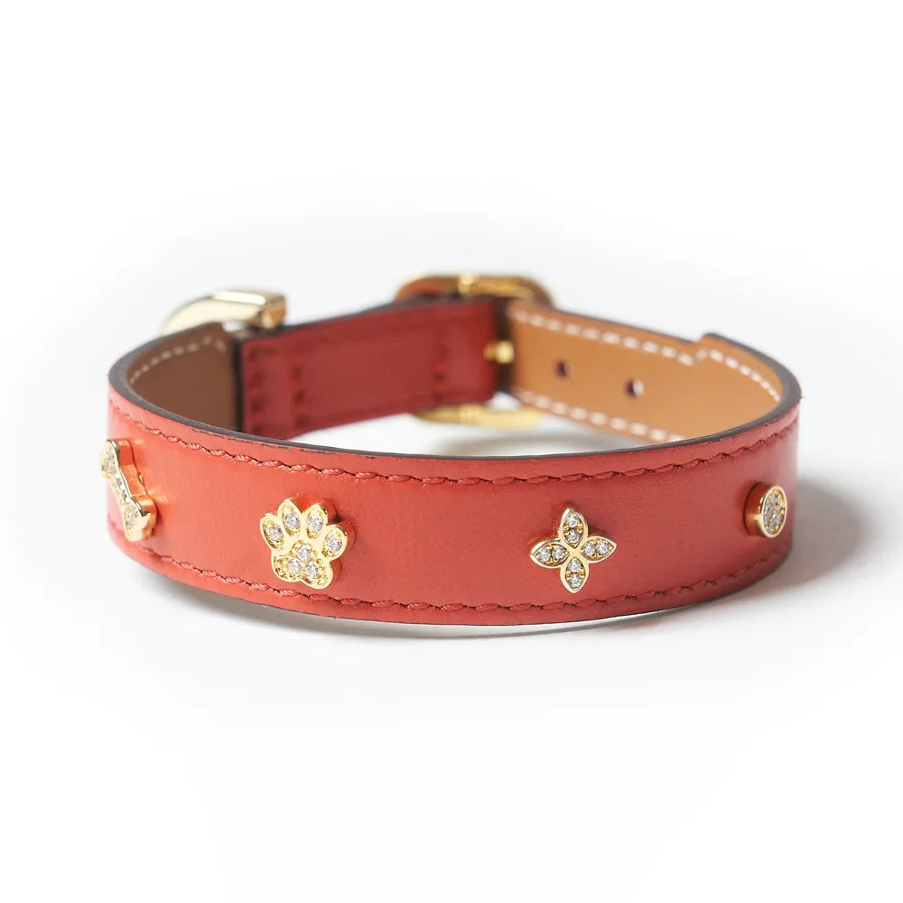 Ensemble Harnais Luxe pour Chien Rouge par Amati