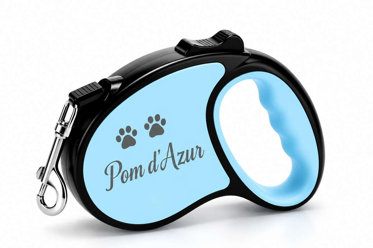 Laisse Rétractable pour Chien 5 m Pom d’Azur Azur