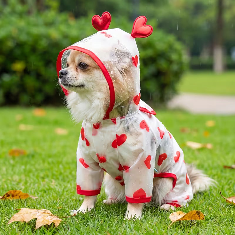 Imperméable Transparent à Cœurs pour Chien