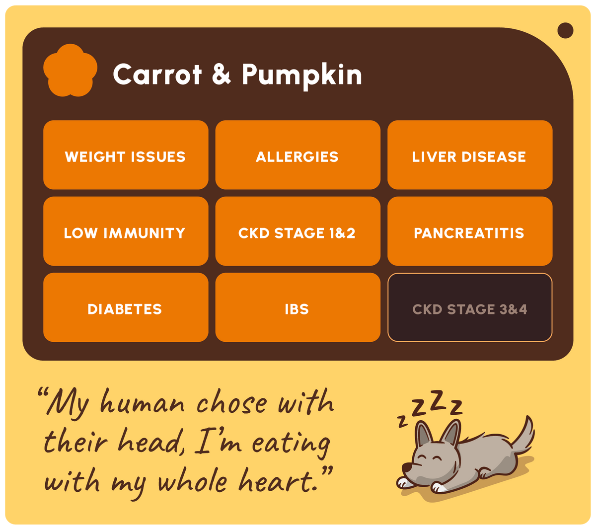 Carrot and pumpkin dog treats