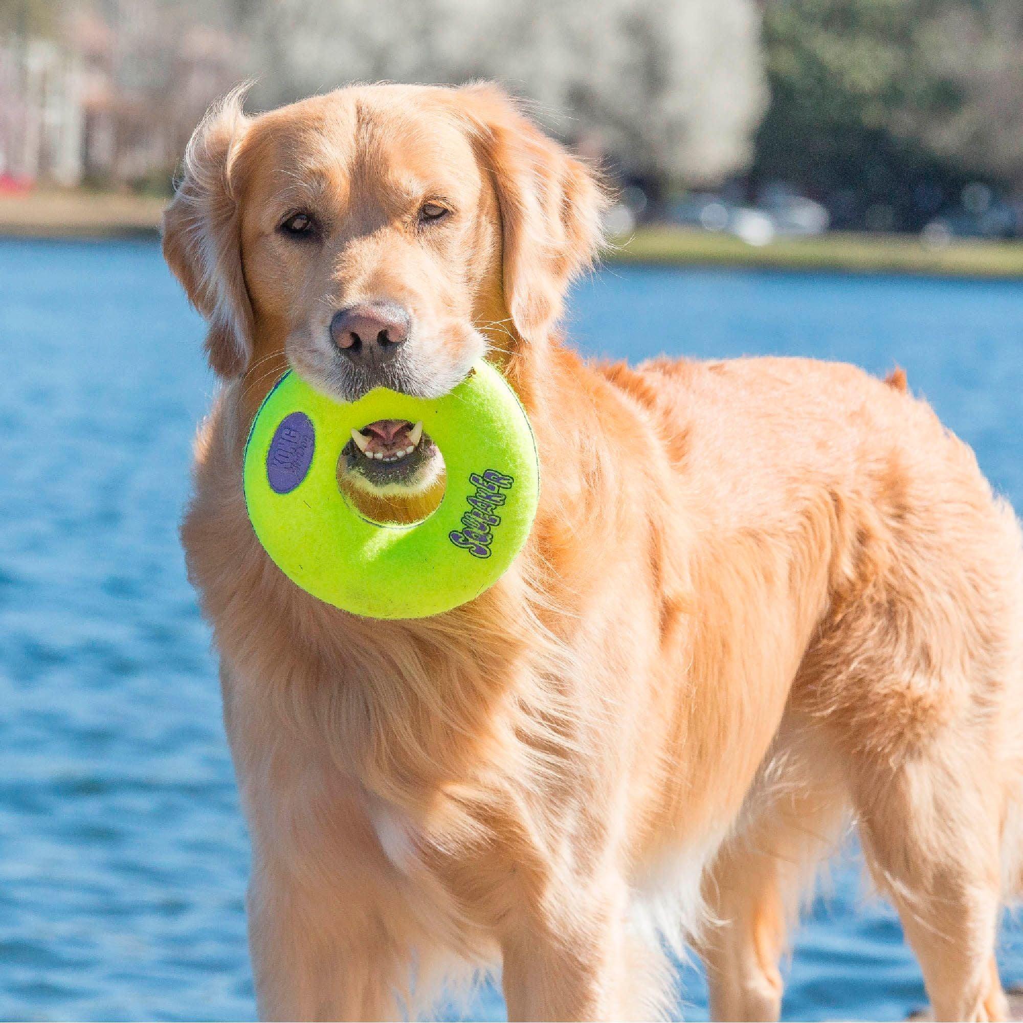 KONG Donut Jouet pour Chien Medium - Pom D'Azur