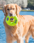 KONG Donut Jouet pour Chien Medium - Pom D'Azur