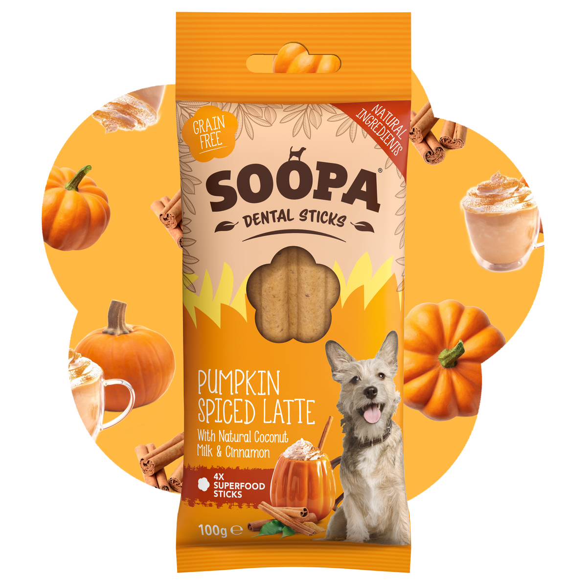 Bâtonnets dentaires pour chien saveur latte épicé à la citrouille: Paquet simple