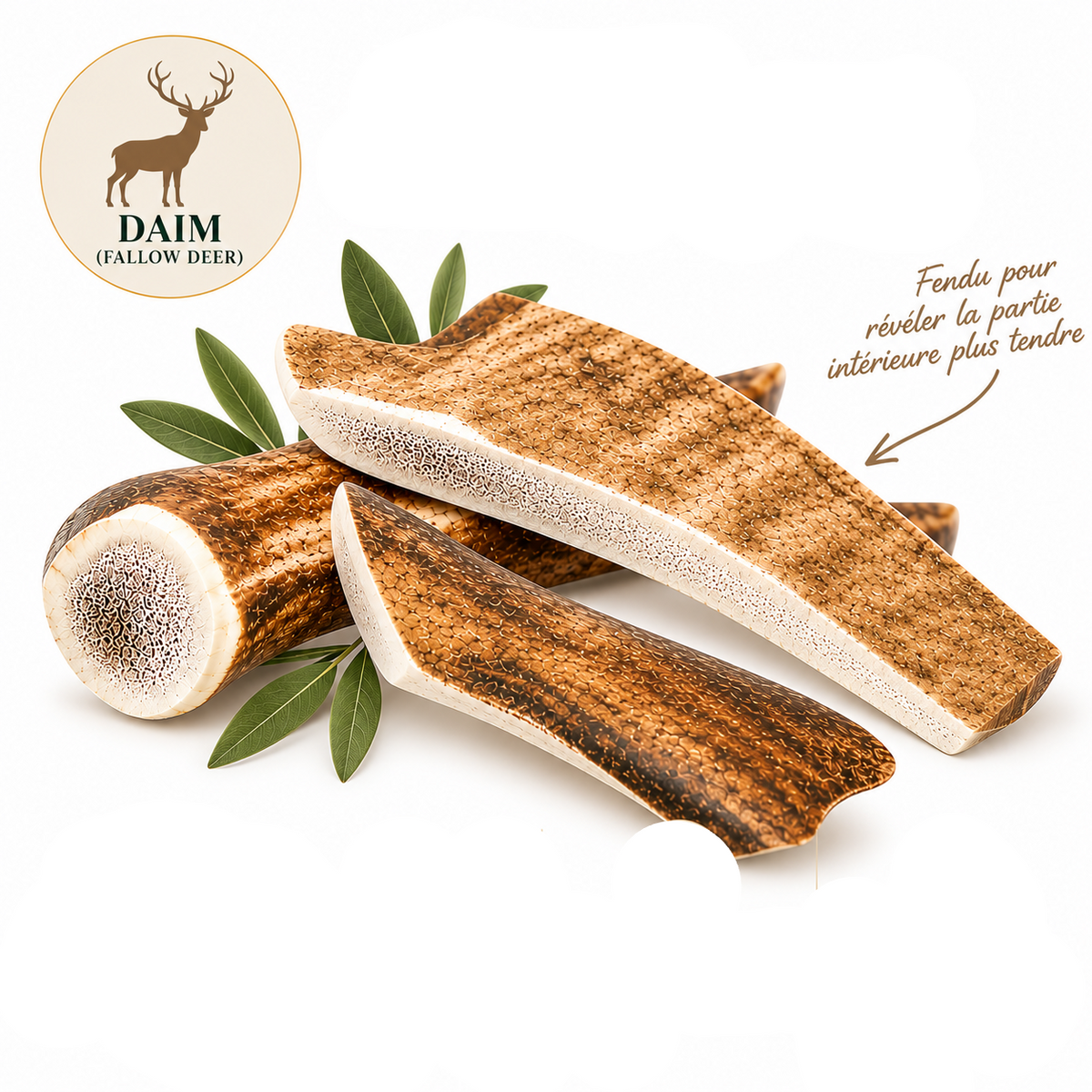 Bois de Cerf Fendu pour Chien 100% Naturel Pom d'Azur