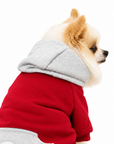 Sweat à Capuche pour Chien Rouge & Gris – Élégance Sportive Sohopoms